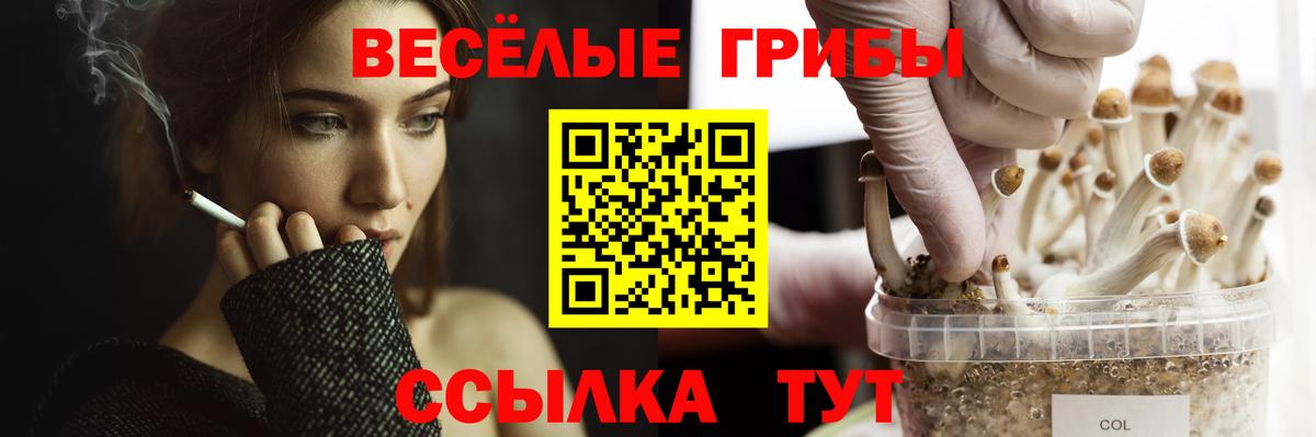 Галлюциногенные грибы Cubensis Миасс